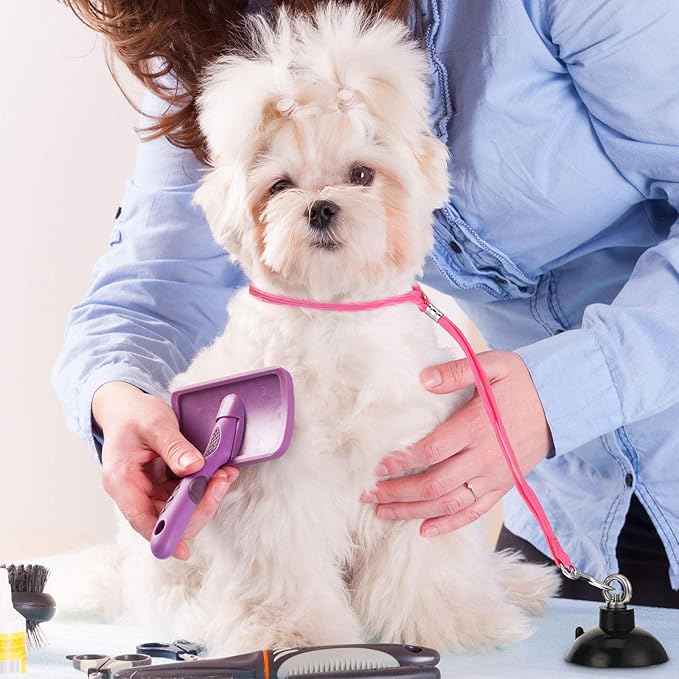 Frienda 4 Pieces Dog Bathing Tether with Suction Cup Pet Dog Grooming Tub Restraint Loops and Adjustable Cat Fixed Safety Rope for Pet Shower Bathing Grooming(Blue Black Pink)-Mewly Pet