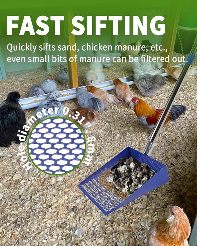 Large Chicken Poop Scooper, Chicken Coop Accessories,Metal Litter Scooper For Chicken,Chicken Coop Cleaning Tools,Heavy Duty Poop Shovel For Chicken Coop Accessories,Chicken Coop Must Haves (Blue)-Mewly Pet