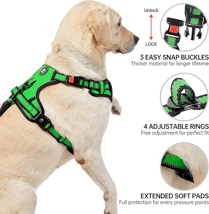 NESTROAD No Pull Dog Harness,Adjustable Oxford Dog Vest Harness with Leash,Reflective No-Choke Pet Harness with Easy Control Soft Handle for Small Dogs(Small,FluorescentGreen)-Mewly Pet