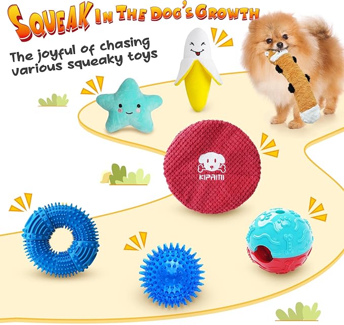 KIPRITII Puppy Toys for Dog Teething -25 Pack Various Puppy Chew Toys with Rope Toys, Dog Treat Balls & Squeaky Toy for Puppy and Small Dogs-Mewly Pet