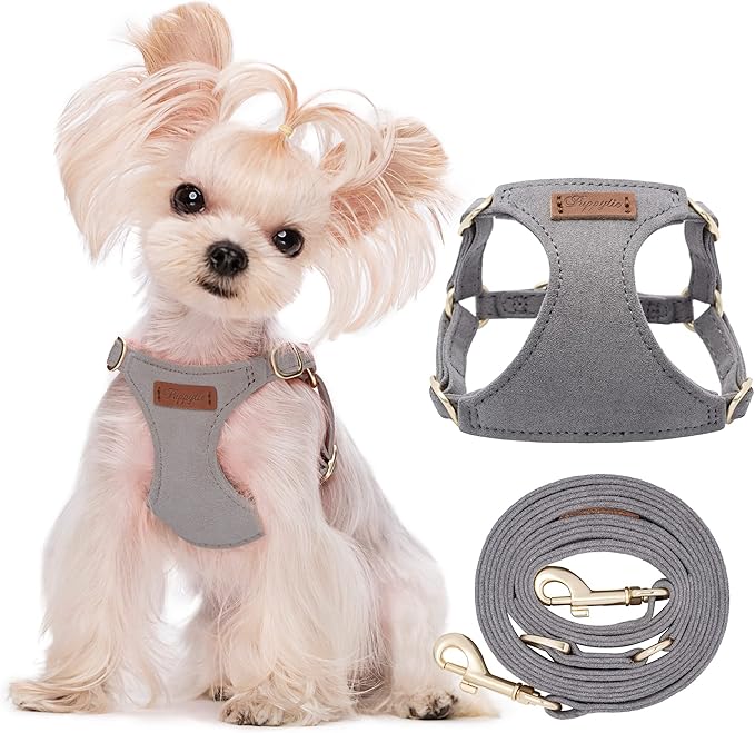 Puppytie No Pull XXS Puppy Harness with Multifunction Dog Leash,Soft Adjustable No Choke Escape Proof Pet Harness Vest,Silver Grey,XXS-Mewly Pet