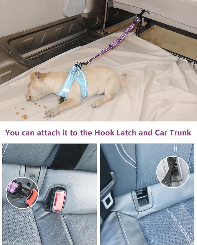 AUBELL Dog Seat Belt for Car,Updated 3-in-1 Adjustable Reflective Bungee Heavy Duty Dog Car Harness Tether with Clip Hook Latch & Buckle,Swivel Zinc Alloy Carabiner,Purple-Mewly Pet