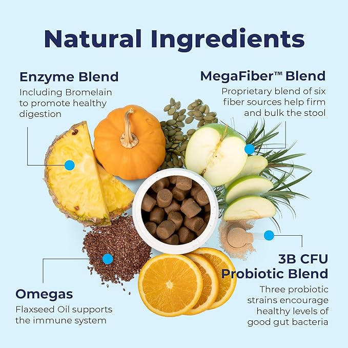 Vetnique Glandex Anal Gland Soft Chew Treats with Pumpkin for Dogs Digestive Enzymes, Probiotics Fiber Supplement for Dogs Boot The Scoot (Advanced Strength Duck/Bacon Chews (Veg), 30 Count)-Mewly Pet