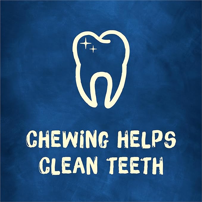 Purina Busy with Beggin’ Twist’d Adult Dog Chew Bone Treats - 10 ct. Pouch-Mewly Pet