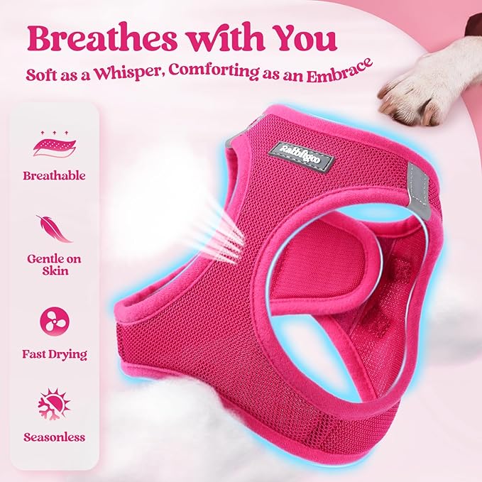 rabbitgoo Dog Harness Small Sized and Leash Set, Step in Soft Light Puppy Vest, Breathable Mesh Pet Harness, Reflective for Safe Easy Walking, Rose Red M-Mewly Pet