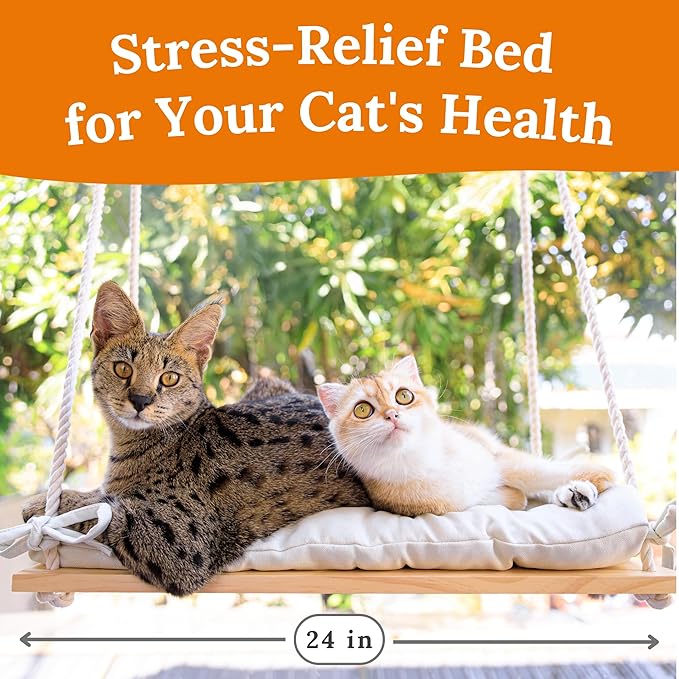 Cat Window Perch for Large Cats - Hammock Bed for Heavy Indoor Cats - Solid Wood Seat, 5 Strong Suction Cups, Soft Cushion - Rustic Shelf for Pets Inside-Mewly Pet