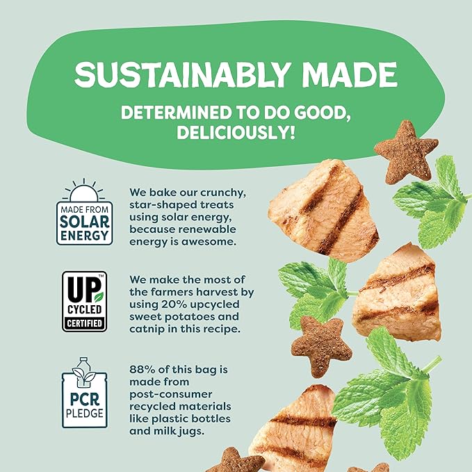 Shameless Pets Crunchy Cat Treats - Catnip Treats for Cats with Digestive Support, Kitten Treats with Real Chicken, Natural & Healthy Flavored Feline Snacks - Catnip N Chill, 1-Pk (12 Oz)-Mewly Pet