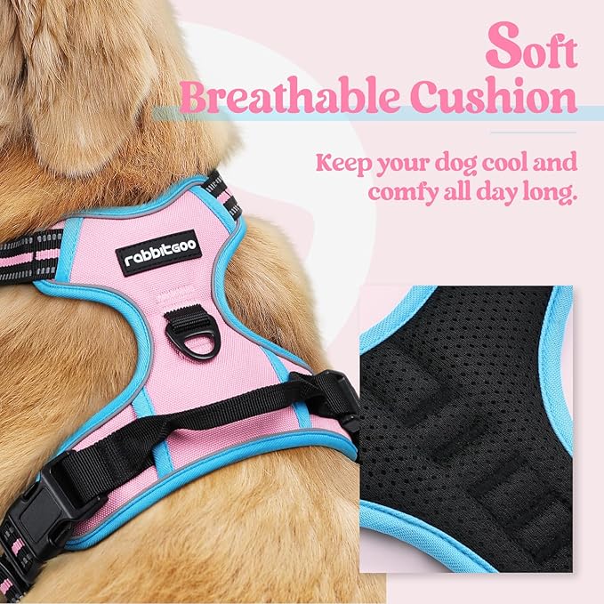 rabbitgoo Dog Harness No Pull with 2 Leash Clips, Adjustable Soft Padded, Reflective Oxford No Choke Pet Vest with Easy Control Handle for Small Dogs, Pink & Blue, S-Mewly Pet