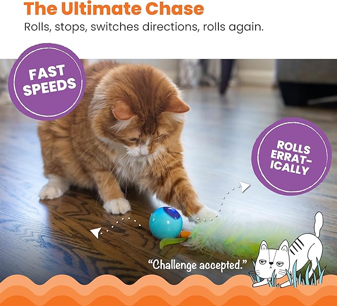 Catstages Roll & Chase Robot Toy –Interactive Electronic Cat Toy for Indoor with Feather Teaser Tail, Lights, USB Rechargeable, Automatic Moving Action for Active Play, Mental Stimulation & Enrichment-Mewly Pet