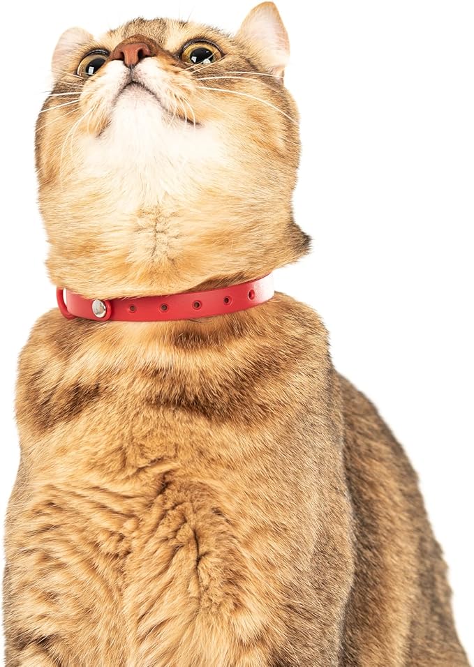 Cat Collar 2 Pack - Soft, Comfortable, and Lightweight Safety Breakaway Collar with Name Tag Ring for Outdoor Cats and Sensitive Skin Kittens by Nuvuq (6 ⅞" to 10 ¼", Red)-Mewly Pet
