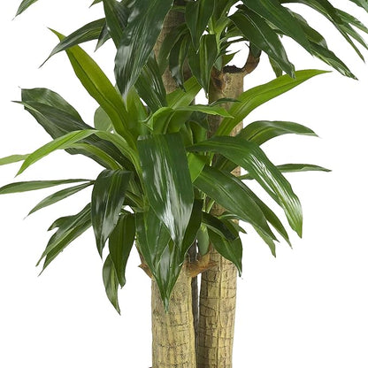 Nearly Natural 62IN Artificial Corn Stalk Dracaena Plant, Tall Fake Plant for Indoor Home Décor, Real Touch Faux Plant