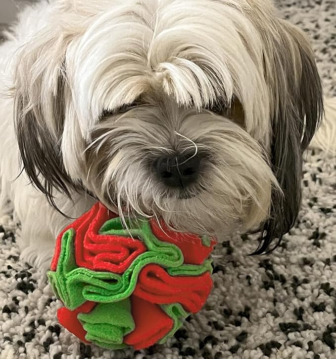 Puppy and Medium Breed Snuffle Interactive Foraging Dog Puzzle Ball Toy Christmas Green and Red Large-Mewly Pet