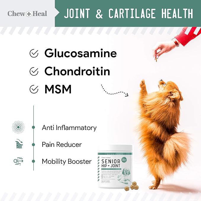 Glucosamine for Dogs Hip and Joint Supplement - 120 Soft Chews for Senior Dogs with Glucosamine, Chondroitin, MSM, Vitamin C, and Omegas - for Mobility, Cartilage, and Joint Health-Mewly Pet