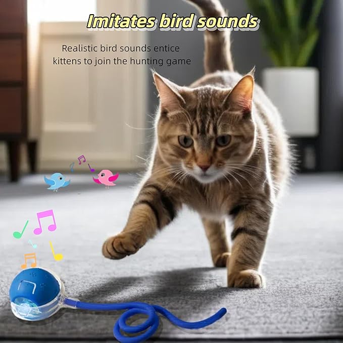 Interactive Cat Toy for Indoor Cats - 3rd Generation Agility Mobile Ball with Elastic Rope Tail, Motion Activated Automatic Toy for Bored Kittens and Adult Cats (Bule)-Mewly Pet