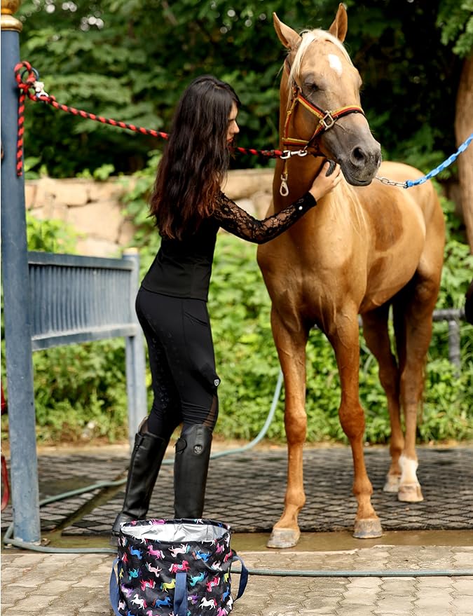 Harrison Howard Horse Grooming Kit 11-Piece Equine Care Series Horse Brush Sets with Organizer Tote Bag Tack Room Supplies Shedding Grooming Massaging Tools Black Brushstroke Ponies-Mewly Pet