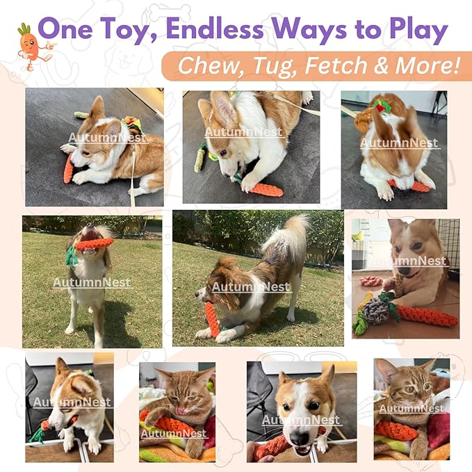 3PCS Orange Woven Pet Chew Set, Puppy Teething Chews, Dog Chew Treats, Cat Teething Playset, Safe Braided Chews for Pets, Durable & Interactive-Mewly Pet