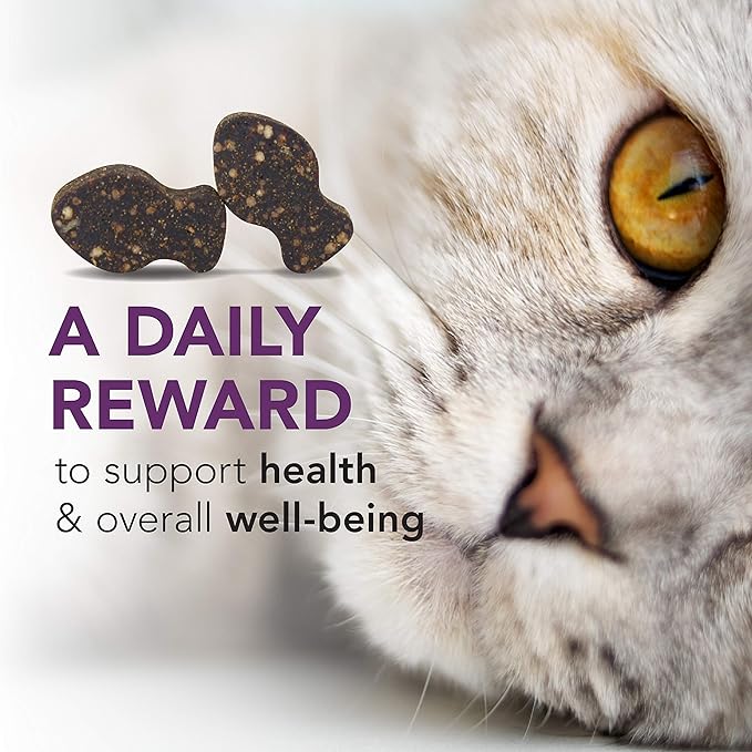 VetriScience Lysine Immunity Health Chews, 250 mg Lysine Plus Immune Supplement for Cats and Kittens with Allergies, Sneezing, Runny Nose and Watery Eyes, Chicken, 3 Pack-Mewly Pet