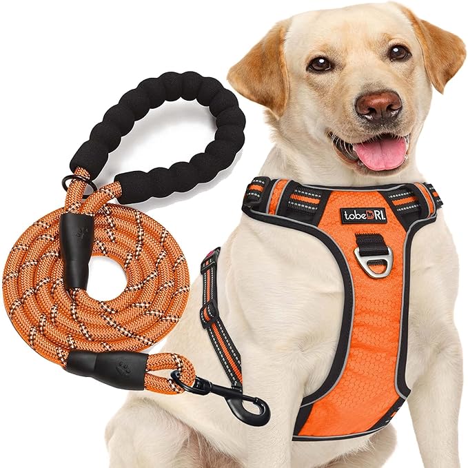 No Pull Dog Harness Adjustable Reflective Oxford Easy Control Medium Large Dog Harness with A Free Heavy Duty 5ft Dog Leash (M (Chest: 22"-26"), Orange Harness+Leash)-Mewly Pet