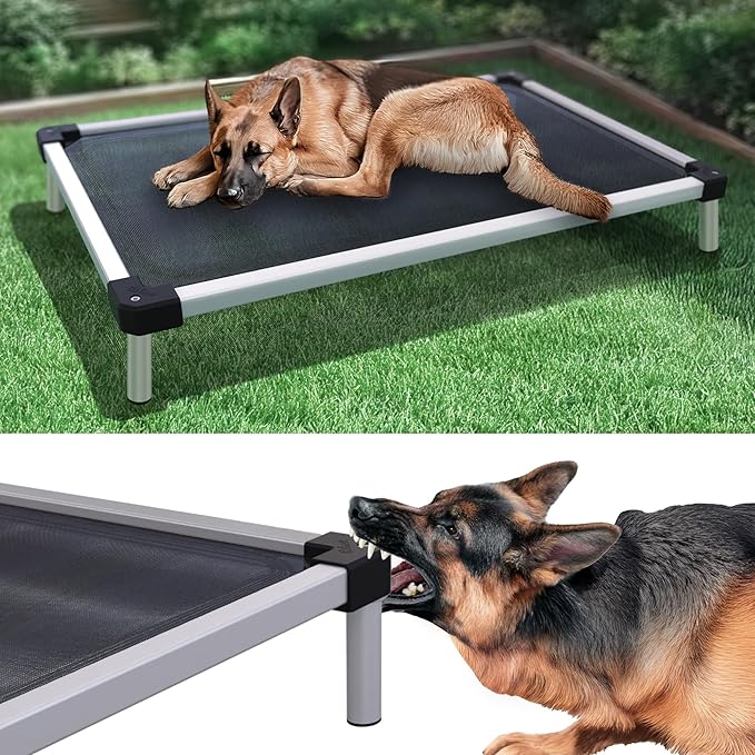 FXW TitanNest Chew-Proof Elevated Dog Bed, Raised Cot for Indoor/Outdoor/Camping Use, Durable & Waterproof Cooling Pet Bed for Large Dogs, 50.0" L x 31.0" W x 7.3" H, Black-Mewly Pet