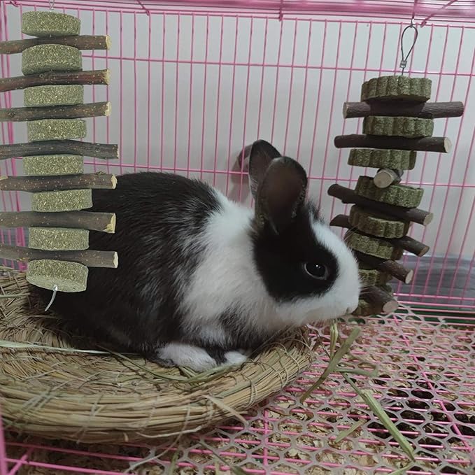Rabbits Chew Toys Bunny Treats Natural Wood Timothy Hay Grass Chew Toys Treats for Hamster Chinchilla Guinea Pigs 6pcs-Mewly Pet