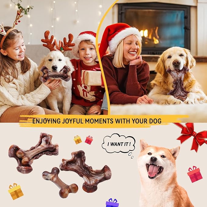 Magicorange Tough Dog Toys, Chew Toys for Aggressive Chewers, Dog Bone Toy Nylon Almost Indestructible Dogs Toy for Teeth Cleaning and Training (Brown)-Mewly Pet