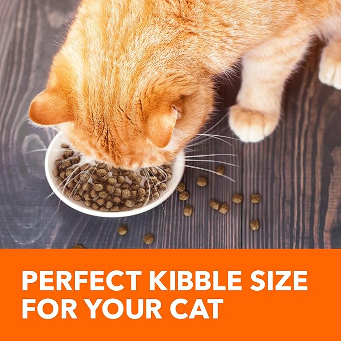 IAMS Proactive Health Adult Healthy Dry Cat Food with Real Salmon, 7 lb. Bag-Mewly Pet