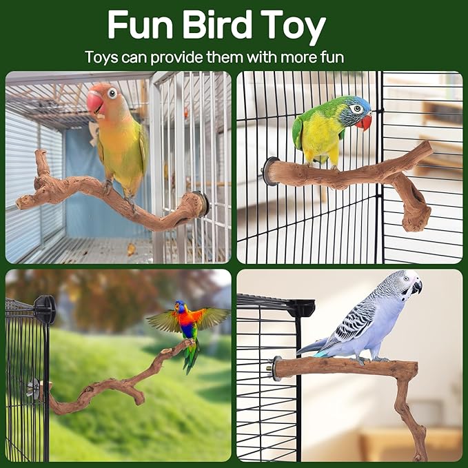 6-Piece Premium Bird Perch Stand with Natural Grape Wood Branch, Paw Grinding Fork, Chewing Stick, Cage Accessories for Parakeets, Budgies, Cockatiels, Finches, Lovebirds-Mewly Pet