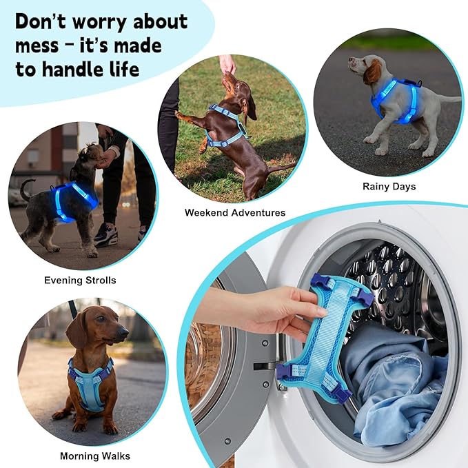Rechargeable Light Up Dog Harness for Small Dogs – Adjustable LED Dog Vest with Reflective Strips, No Pull Glow in The Dark Puppy Harness for Night Walking Safety-Blue-Mewly Pet