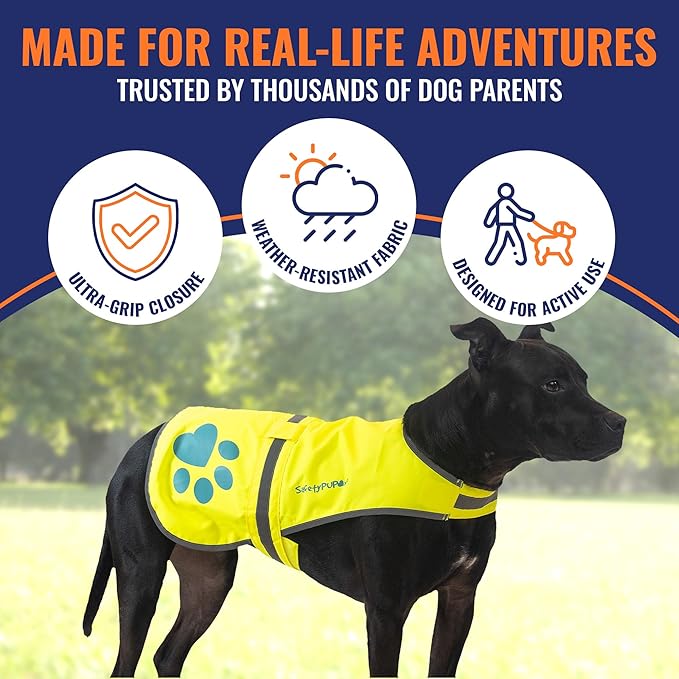 Dog Reflective Vest – Hi-Vis Fluorescent Visibility That Helps to Safeguard Your Pet On/Off Leash in Urban & Rural Areas (Yellow, Small)-Mewly Pet