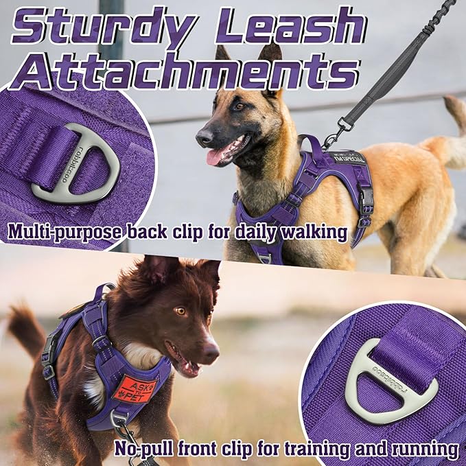 rabbitgoo Tactical Dog Harness for Small Dogs, No Pull Military Service Vest with Handle & Molle, Easy Control for Training Walking, Adjustable Reflective Straps, Purple, S-Mewly Pet