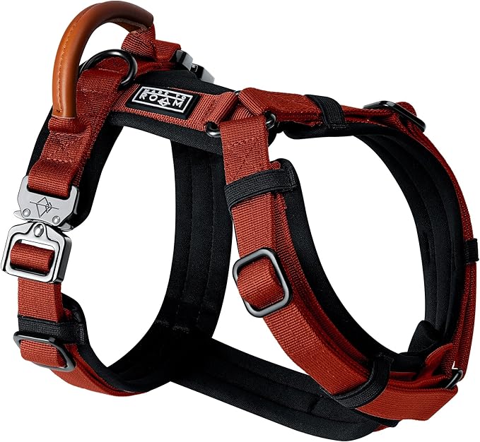 MADE TO ROAM Premium Explorer Harness - Y-Shaped Dog Harness with Adjustable Durable Nylon, Soft Padding, Metal Buckles and Leather Handle for Small, Medium, Large Dogs (Texas Flair, Size 4)-Mewly Pet