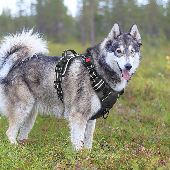 Timos Dog Harness,NO Need Go Over Dogs Head 3 Snap Buckles Pet Harness with 2 Leash Clips,Adjustable Soft Padded No-Pull,Reflective No-Choke Oxford Vest for Small Medium Large Dogs,X-Large(Packof1)-Mewly Pet