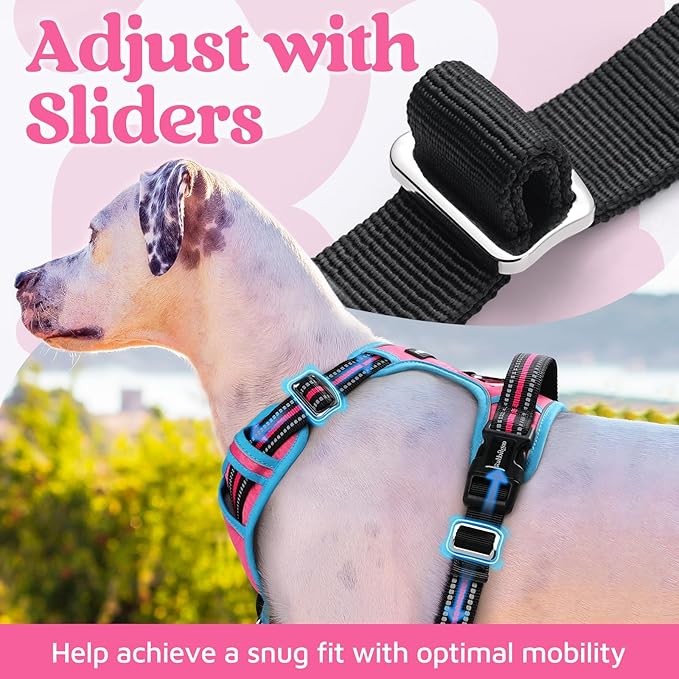 rabbitgoo Dog Harness Small Sized, No Pull Dog Vest with 3 Buckles, Adjustable Soft Padded Pet Harness with Easy Control Handle and Reflective Strips, Rose Pink & Blue, S-Mewly Pet