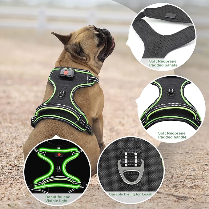 Rechargeable LED Dog Harness - No Pull, 4 Point Adjustable, Small/Medium/Large/X-Large Sizes-Mewly Pet