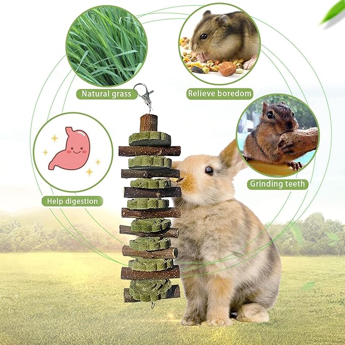PINVNBY Bunny Chew Toys for Teeth Natural Organic Fruitwood Rabbits Cage Molar Sticks for Chinchillas, Guinea Pigs, Hamsters, Parrots and Other Small Pet Chewing Improve Dental Health-Mewly Pet