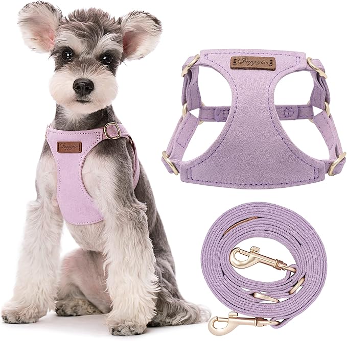Puppytie No Pull Small Dog Harness with Multifunction Dog Leash,Lightweight Soft Adjustable No Choke Escape Proof Pet Harness Vest Pet Harness Vest,Light Purple,S-Mewly Pet