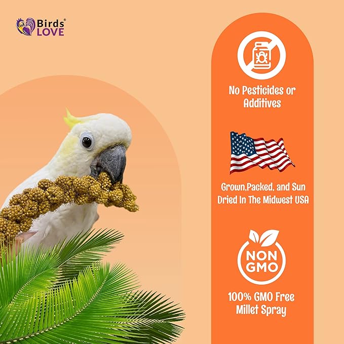 Birds LOVE Wholesome & Lovely Spray Millet Non-GMO for Birds Cockatiel Lovebird Parakeet Finch Canary All Parrots Healthy Treat - 2LBS-Mewly Pet