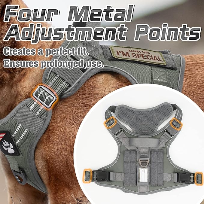 rabbitgoo Tactical Dog Harness for Small Dogs, No Pull Military Service Vest with Handle & Molle, Easy Control for Training Walking, Adjustable Reflective Straps, Dark Grey, S-Mewly Pet