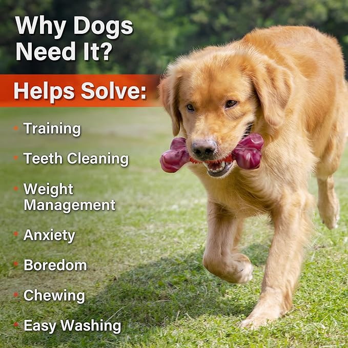 Apasiri Dog Toys for Aggressive Chewers Large Breed 2-Pack: Heavy Duty Chew Toys for Medium Dogs Indestructible Orange Dog Gift with Peanut Butter Flavor-Mewly Pet