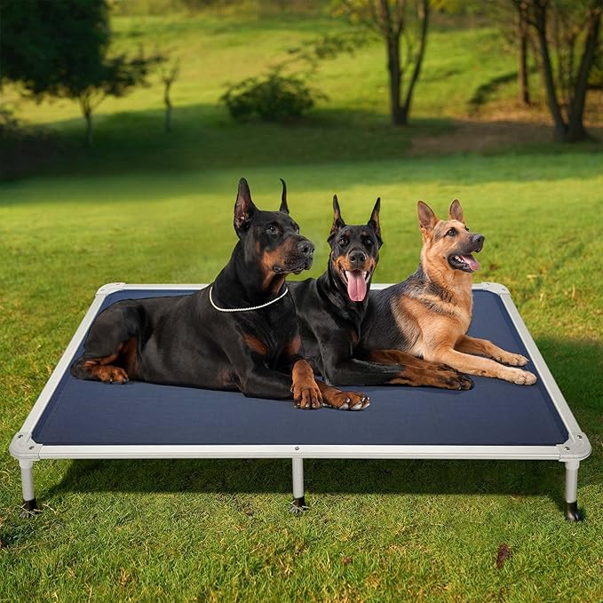 Veehoo Chew Proof Elevated Dog Bed - Cooling Raised Pet Cot - Silver Aluminum Frame and Durable Textilene Mesh Fabric, Unique Designed No-Slip Feet for Indoor or Outdoor Use, Blue, XX-Large, CWC2003-Mewly Pet