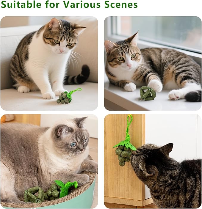 Cat Catnip Toys,2Pcs Catnip Ball for Cats,Toys for Indoor Cats,Cat Chew Exercise Toy for All Breeds and Species,Enhances Oral and Dental Health-Mewly Pet