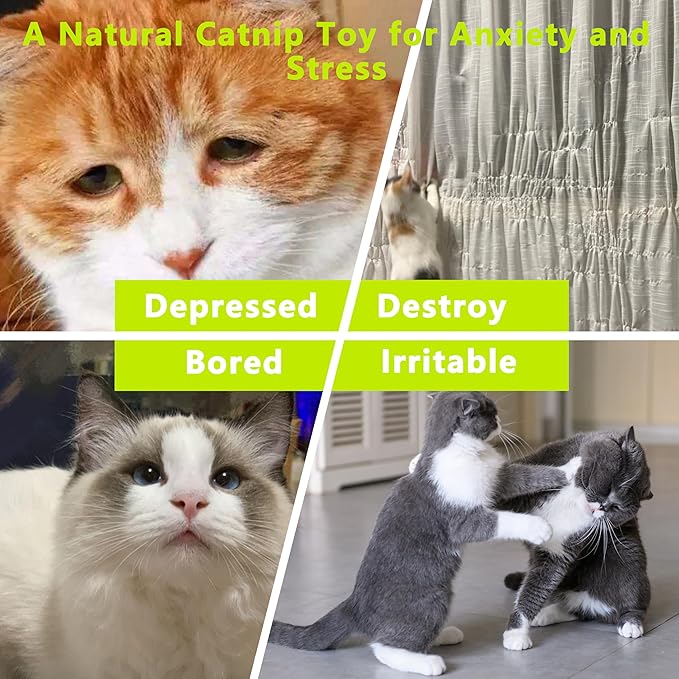 1 Pack Catnip Toys, Soft Cat Pillows Toys, Kitten Caterpillar Catnip Toys,Indoor Interactive Cat Kicker Toys for All Age Cat-Mewly Pet