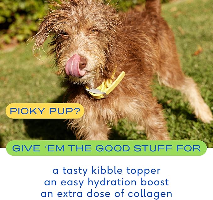 Native Pet, Dogs & Cat Broth Bundle | Chicken & Beef Flavored | Dog Food Topper for Picky Eater | Dog Gravy & Dog Bone Broth Powder-Mewly Pet