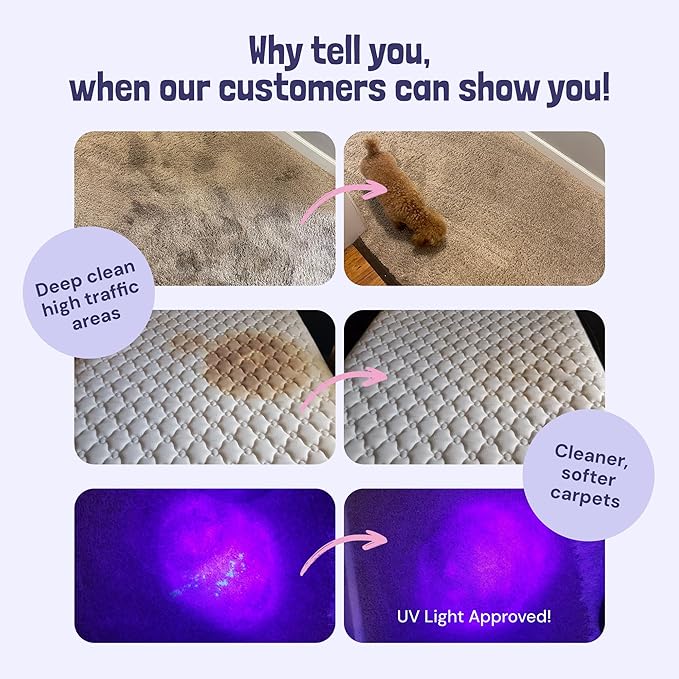 Sunny & Honey Carpet Cleaner Shampoo - 128 Fl Oz, Light Lavender Scent - Pet Stain Remover & Odor Eliminator - Rug Cleaner & Upholstery Cleaner Solution for Machine Use-Mewly Pet