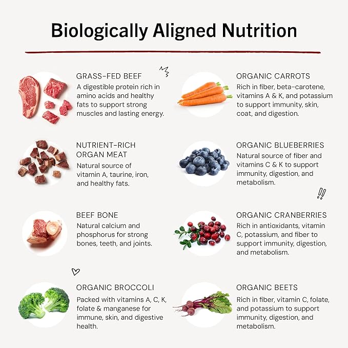 Stella & Chewy's Freeze-Dried Raw Dinner Patties - Beef Recipe - High Protein Grain-Free Puppy & Dog Food - Perfect For Picky Eaters - 5.5 oz-Mewly Pet