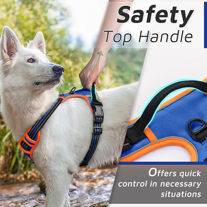 Eagloo Dog Harness for Large Dogs, No Pull Service Vest with Reflective Strips and Control Handle, Adjustable and Comfortable for Walking, No Choke Harness with 2 Metal Rings, Blue & Orange, M-Mewly Pet