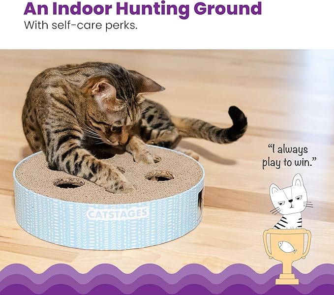 Catstages Scratch N' Hunt Interactive Cat Puzzle Toy with Scratcher Corrugate for Nail Care, Engages Hunting Instincts-Mewly Pet