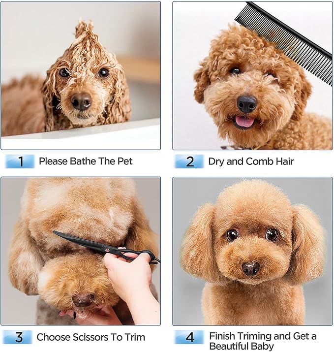 Gimars 7.0in Professional 4CR Stainless Steel Safety Round Tip 6 in 1 Dog Grooming Scissors Heavy Duty Titanium Coated Pet Grooming Scissor for Dogs, Cats and Other Animals-Mewly Pet