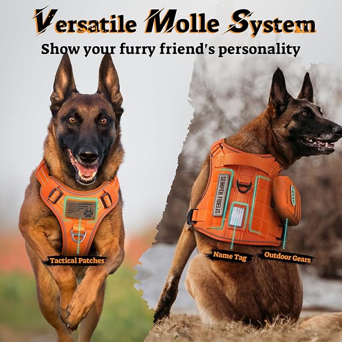 rabbitgoo Dog Harness for Large Dogs No Pull, Tactical Service Pet Vest with Molle and Control Handle, Adjustable and Reflective Military Harness for Easy Walking and Training, Orange, L-Mewly Pet