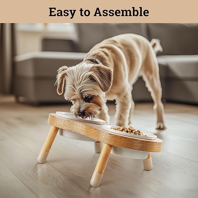 Elevated Cat Bowls - Set of 2 Ceramic Pet Food Bowls with Anti-Slip Bamboo Stand - 15 Degree Titled - Raised Dog Bowl for Small Dogs - Raised Cat Bowl Stand - Pet Feeding Station for Cats & Small Dogs-Mewly Pet